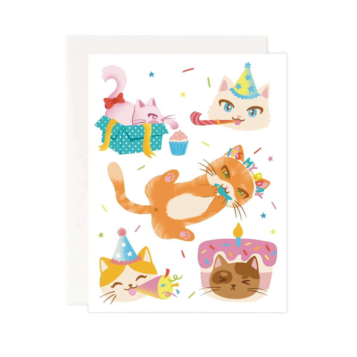 B-Day Cats