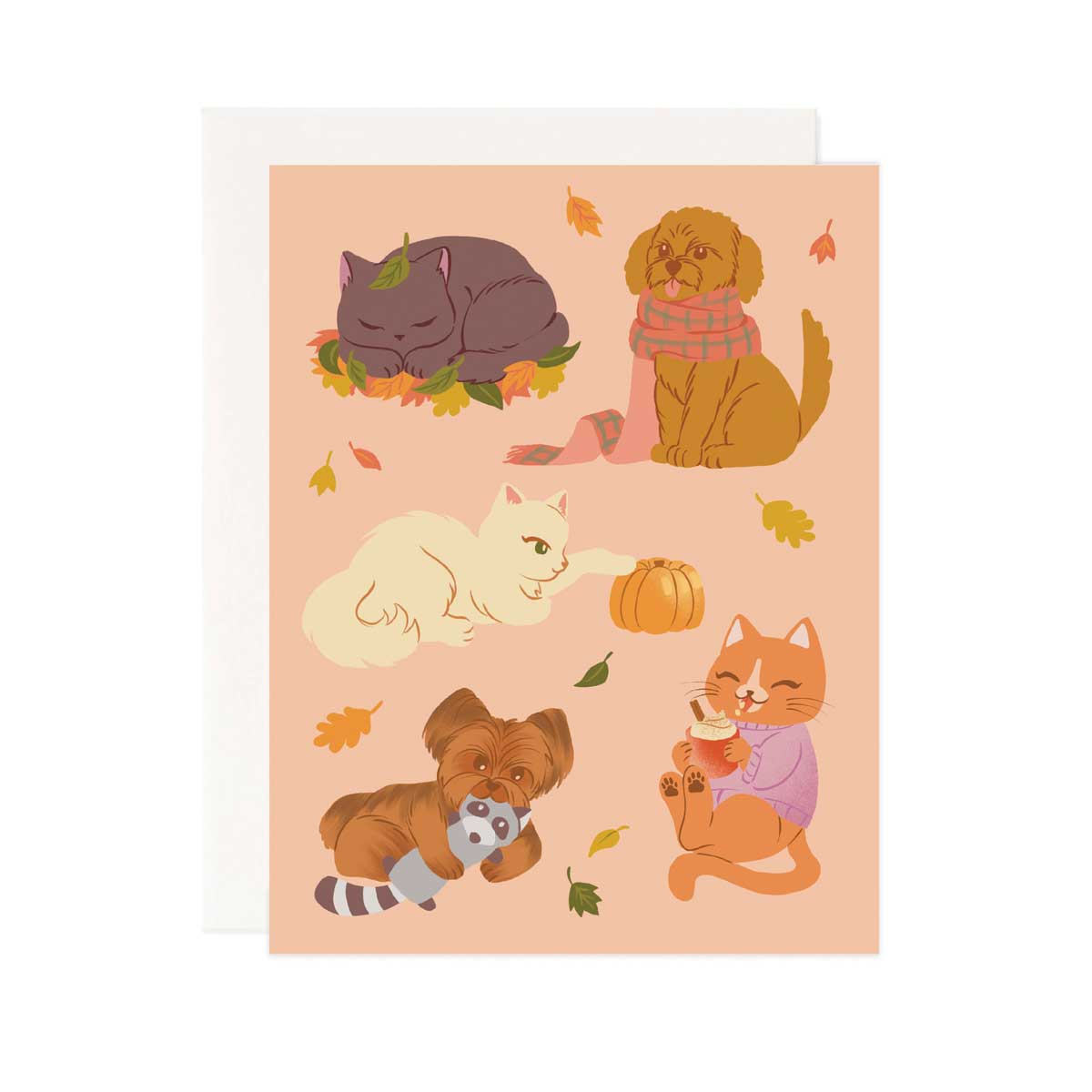 Fall Cats & Dogs