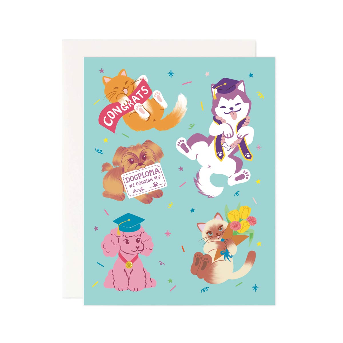 Graduation Cats & Dogs-zoom-1