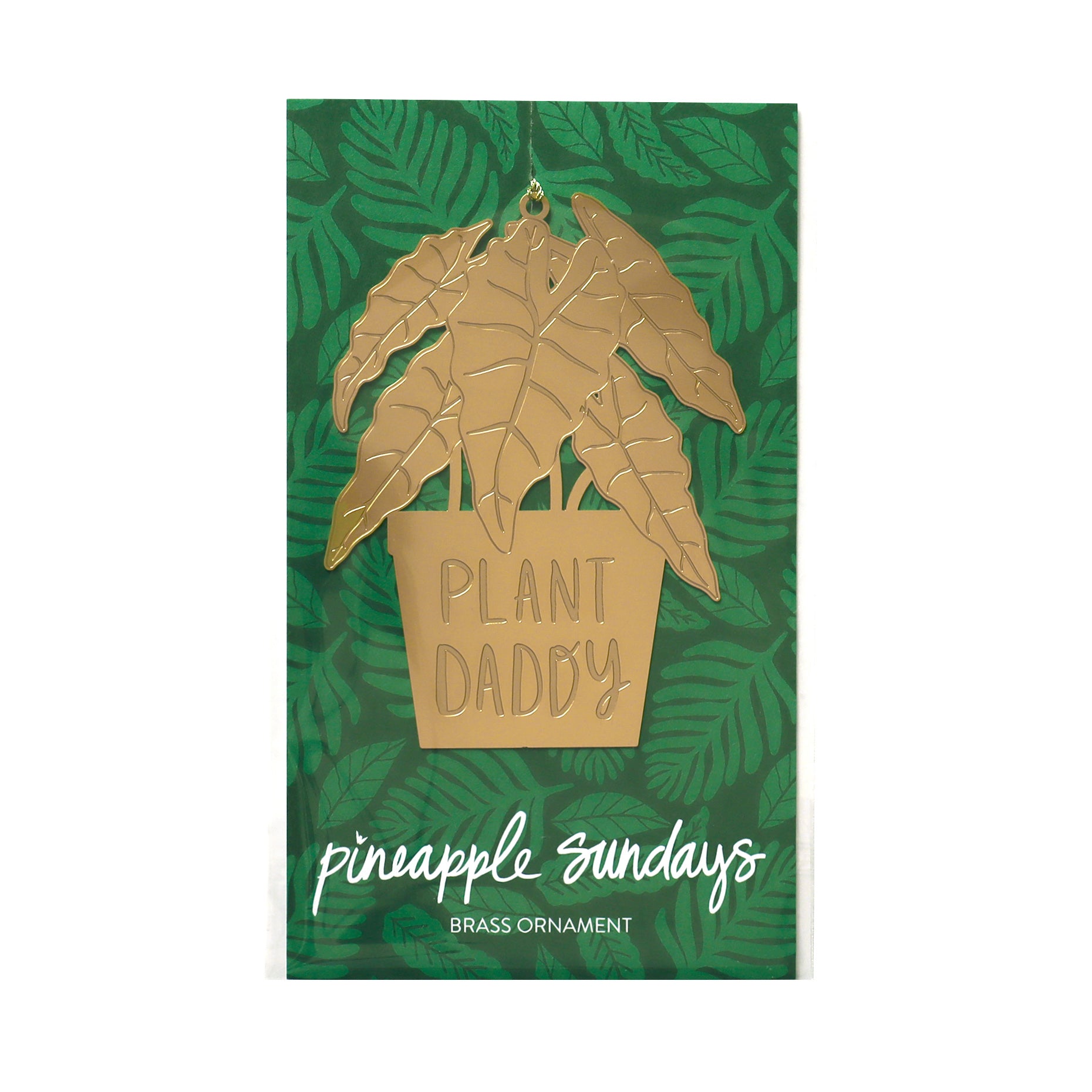Plant Daddy-zoom-2