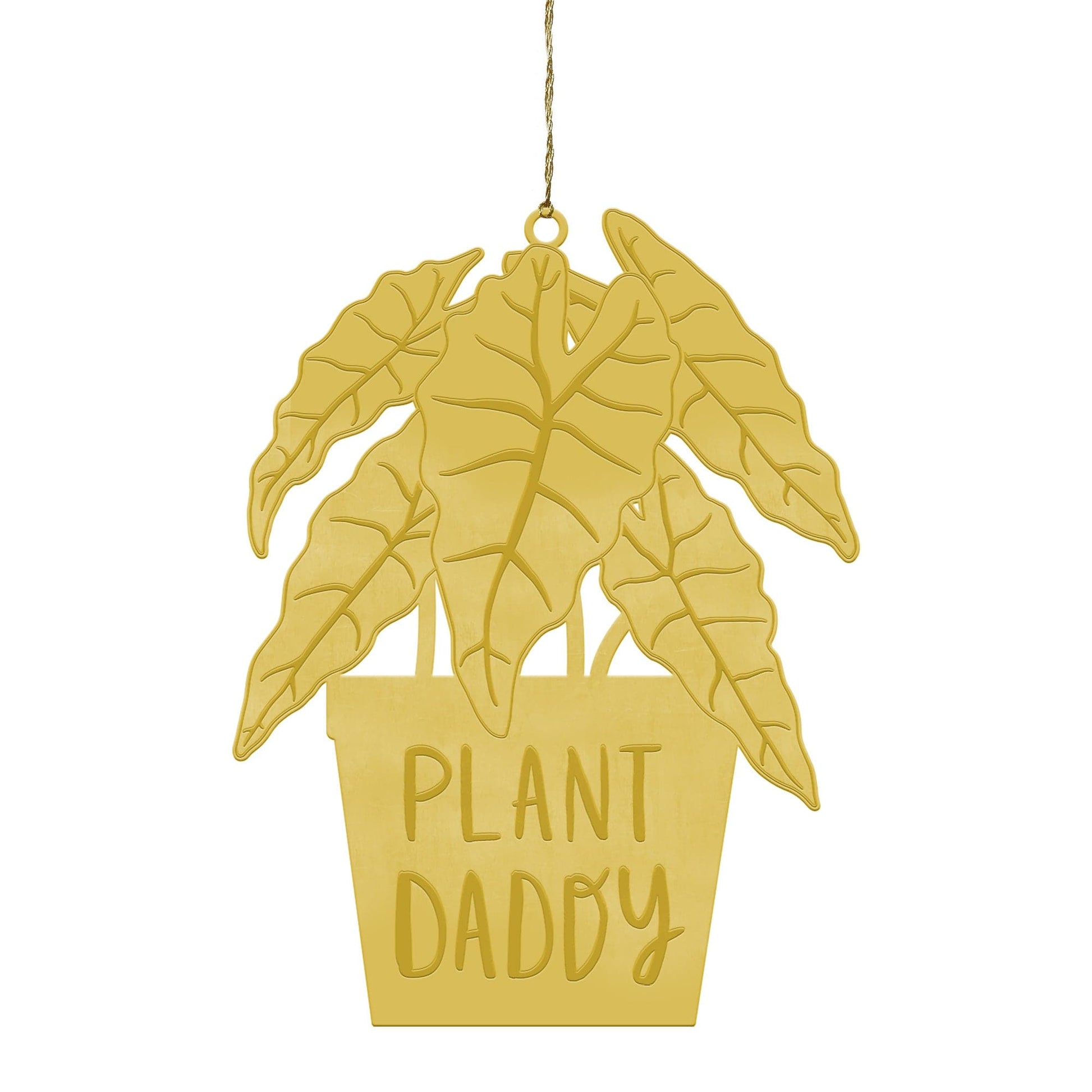 Plant Daddy-1