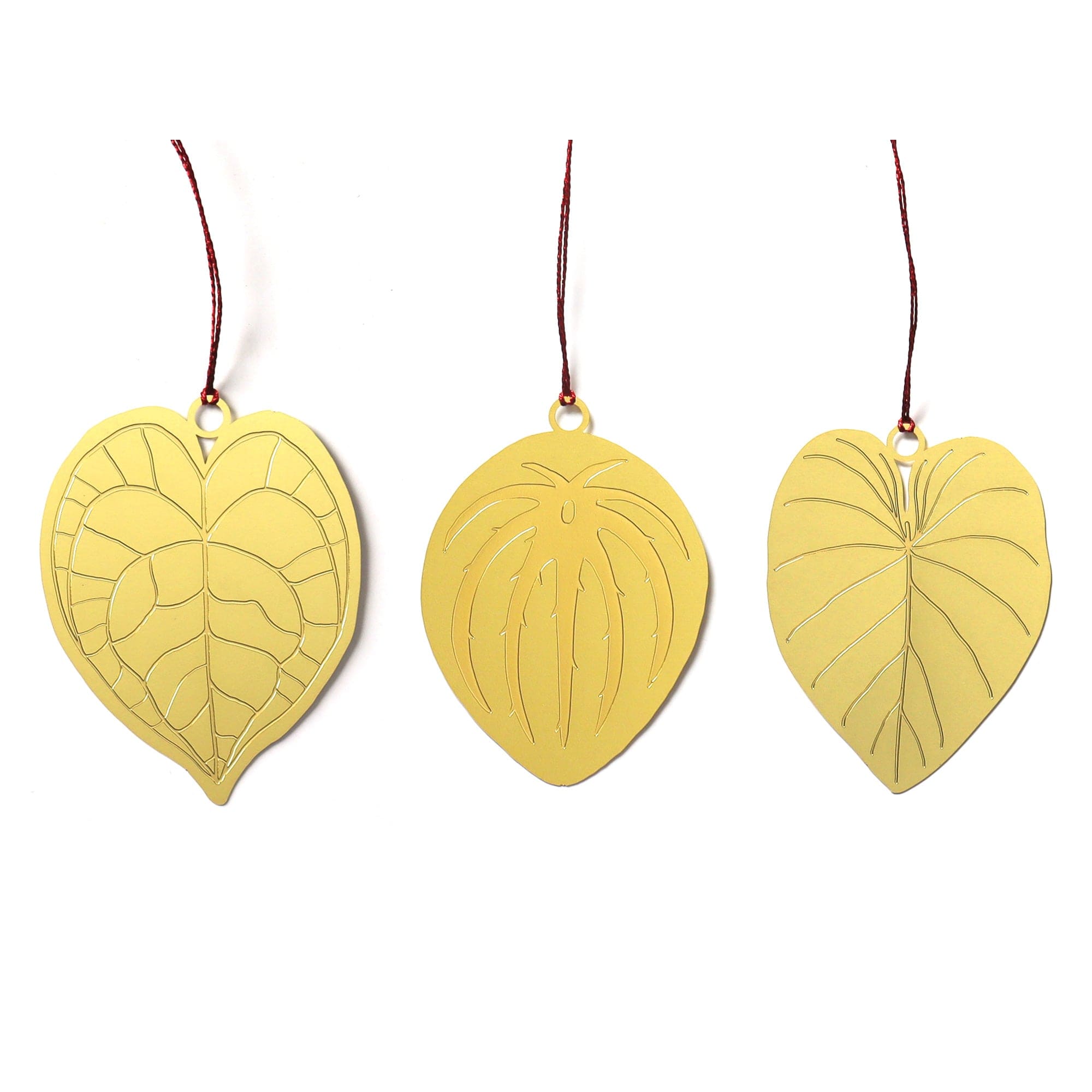 Plant Leaves Set of 3